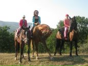 Фотография Волосновой Ольги