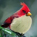 Назар Євтушик фотография #39 (источник - https://vk.com/id164473869)