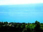 Сергей Матвейчук фотография #7 (источник - https://vk.com/id2555655)