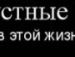 Вадім Тіхонов фотография #37 (источник - https://vk.com/id96948013)