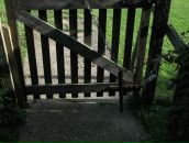 Ромул Рем фотография #12 (источник - https://vk.com/id4353335)