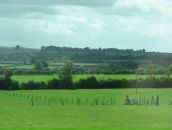 Ромул Рем фотография #31 (источник - https://vk.com/id4353335)