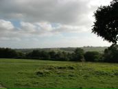 Ромул Рем фотография #16 (источник - https://vk.com/id4353335)