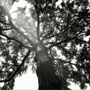 Nn Nn фотография #5 (источник - https://vk.com/id2185581)