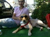 Enis Başaran фотография #17 (источник - https://vk.com/id167882187)