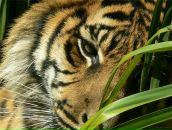 Фотография Shvert Дмитрия