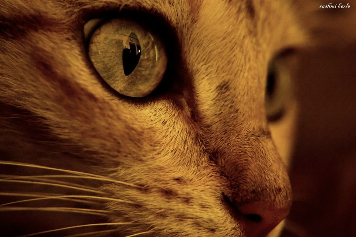 Андрей Потапенко фотография #39