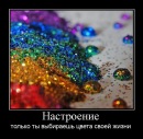 Вікторія Дибач фотография #35 (источник - https://vk.com/id71447905)