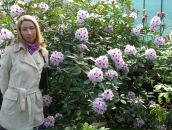 Фотография Никифоровой Елены