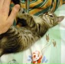 Иван Амельченко фотография #3 (источник - https://vk.com/id684343)