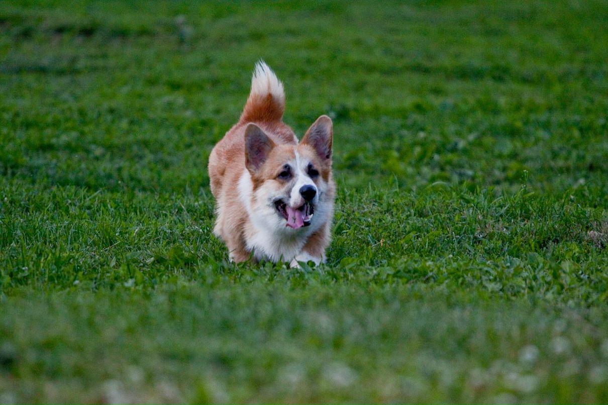 Александр Пушаков фотография #20