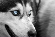 Фотография Бирих Елены