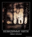 Фотография Никишаева Паши