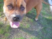 Джек Ценкін фотография #1