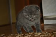 Едіта Яцюк фотография #47 (источник - https://vk.com/id12775962)