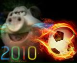 Фотография Комарова Андрея