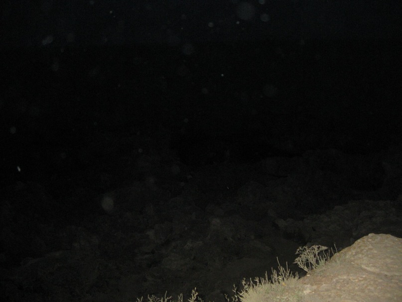 Денис Гранкин фотография #50