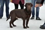 Фотография Свидерскаяа Татьяны