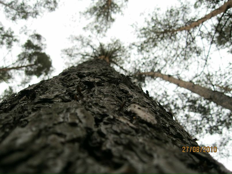 Илья Хатаб фотография #44