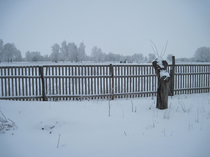 Руслан Мартыненко фотография #32