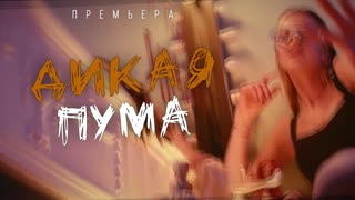 Юлианна Караулова - Дикая пума (Премьера клипа 2019)