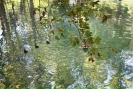 Тимур Бабаев фотография #35 (источник - https://vk.com/id2496859)