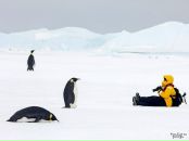 Фарид Мударрис фотография #26 (источник - https://vk.com/id90649712)