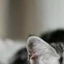 Зорянка Касіянчук фотография #18 (источник - https://vk.com/id18925498)