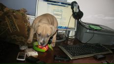 Серий Челядін фотография #30 (источник - https://vk.com/id7693308)