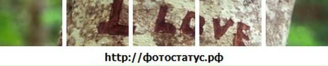 Діана Понцір фотография #42 (источник - https://vk.com/id95487055)