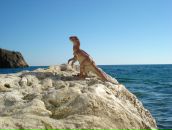 Фотография Голикова Юрия