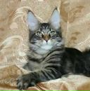 Фотография Уразаевой Гульнары