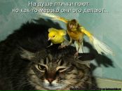 Фотография Пластининой Анастасии