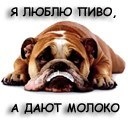 Андрій Шиманський фотография #24 (источник - https://vk.com/id158911711)