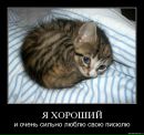 Дмитрий Макаров фотография #34 (источник - https://vk.com/id2691551)