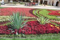 Фотография Васильевой Натальи