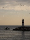 Tuna Yener фотография #43 (источник - https://vk.com/id139382922)