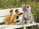 Андрій Добрусь фотография #35 (источник - https://vk.com/id75546355)