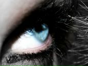 Фотография Вавилиной Алины