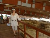 Фотография Михиной Юлии