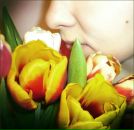 Фотография Сорокин Роман