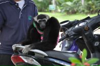 Фотография Цыганенко Павла