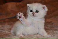 Фотография Нееловой Ирины