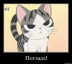Антон Блинов фотография #1
