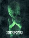 Obsidian | ebm | dark electro | фотография #35 (источник - https://vk.com/id124091521)