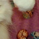 Міша Якимчук фотография #34 (источник - https://vk.com/id155178981)