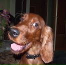 Фотография Криницына Дмитрия