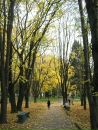 Олена Кіфяк фотография #25 (источник - https://vk.com/id9942574)