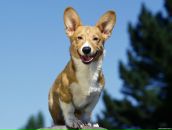 Фотография Цвицковича Игоря