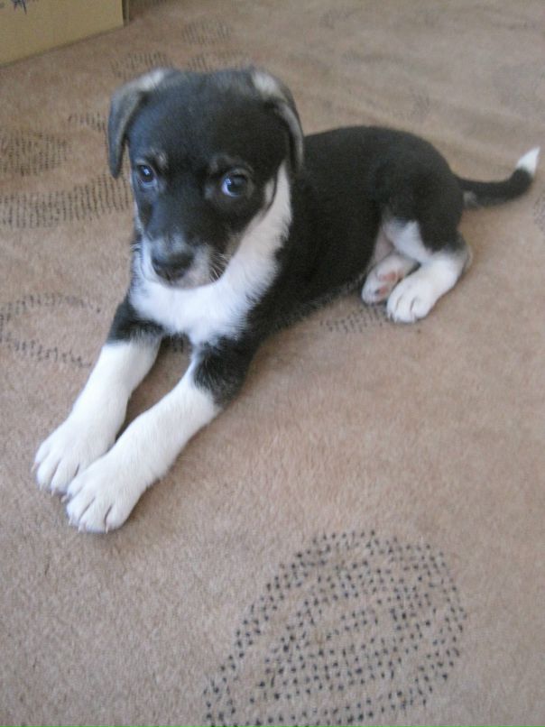 Анна Бородина фотография #23